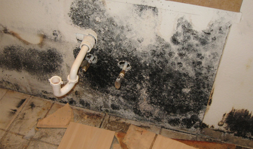 Symptoms Of Mold Exposure