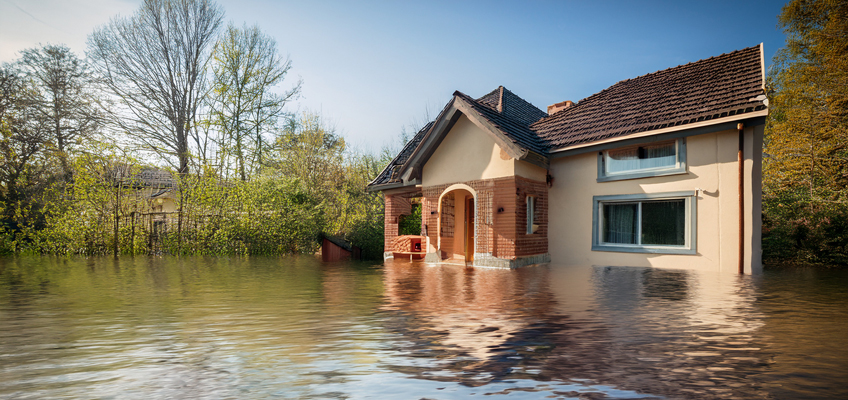 Government to invest in high-preformance flood defences and wetland restoration