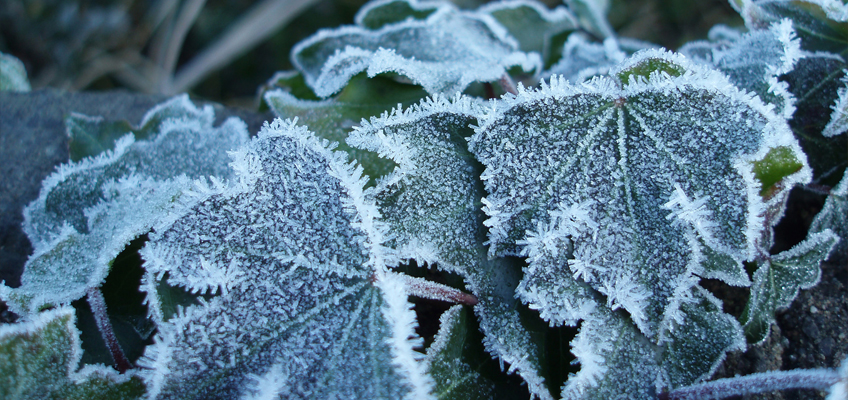 Icy conditions set to hit the UK