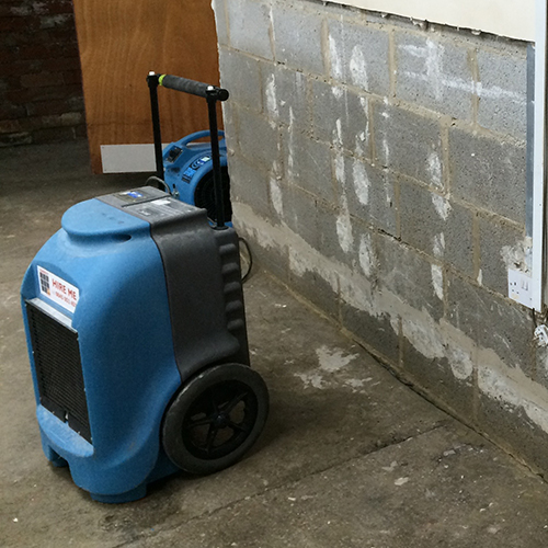 Mould remediation